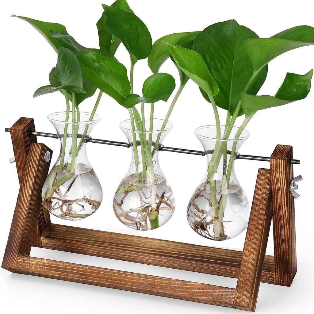 YIBOT Desktop Glass Plant Terrarium with Retro Wooden Stand and 3 Bulb Vases